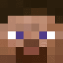 Tête de steve dans minecraft
